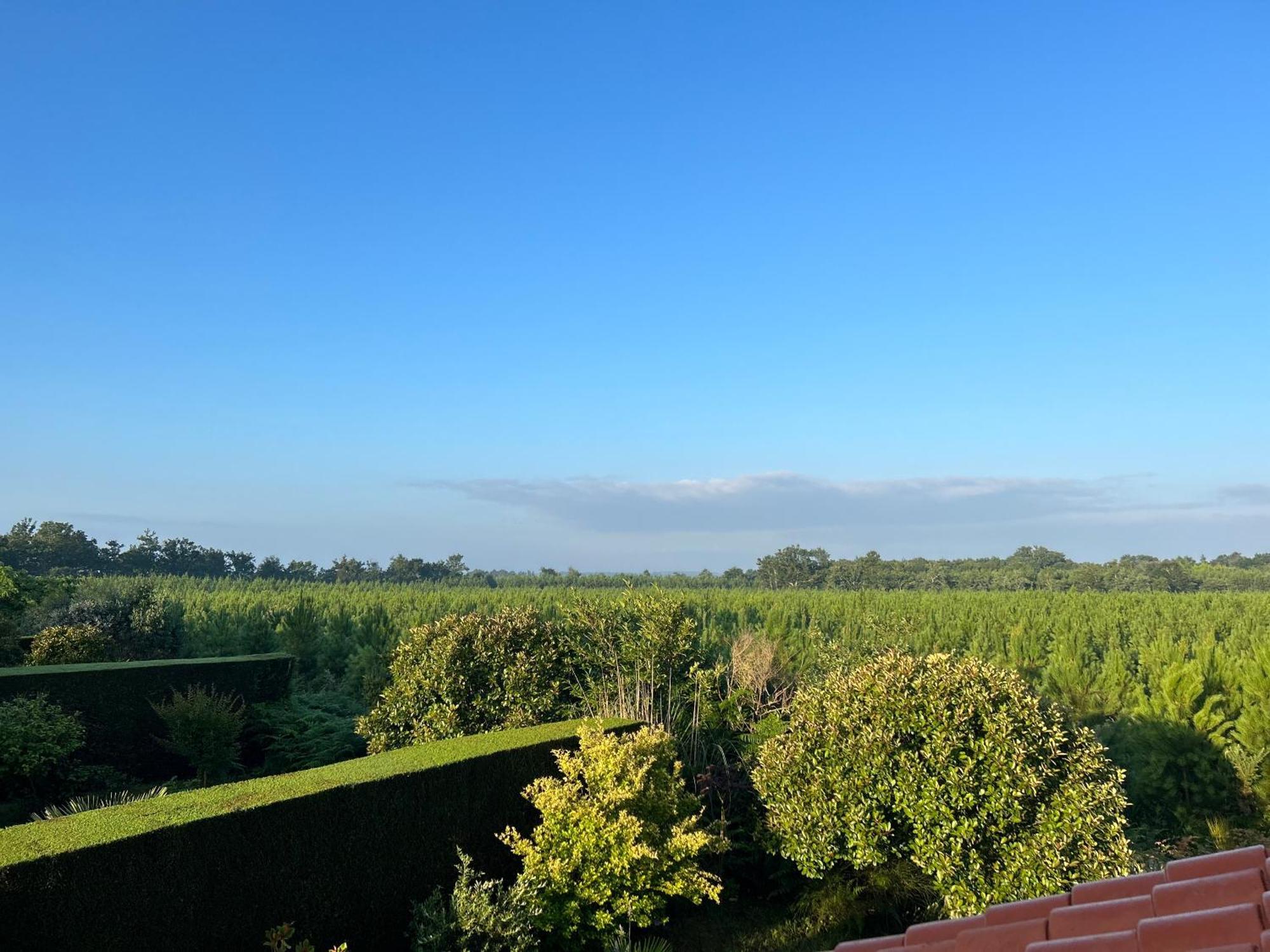 Jolie Maison De Vacances Avec Terrasse Et Jardin Saint-Julien-en-Born Kültér fotó