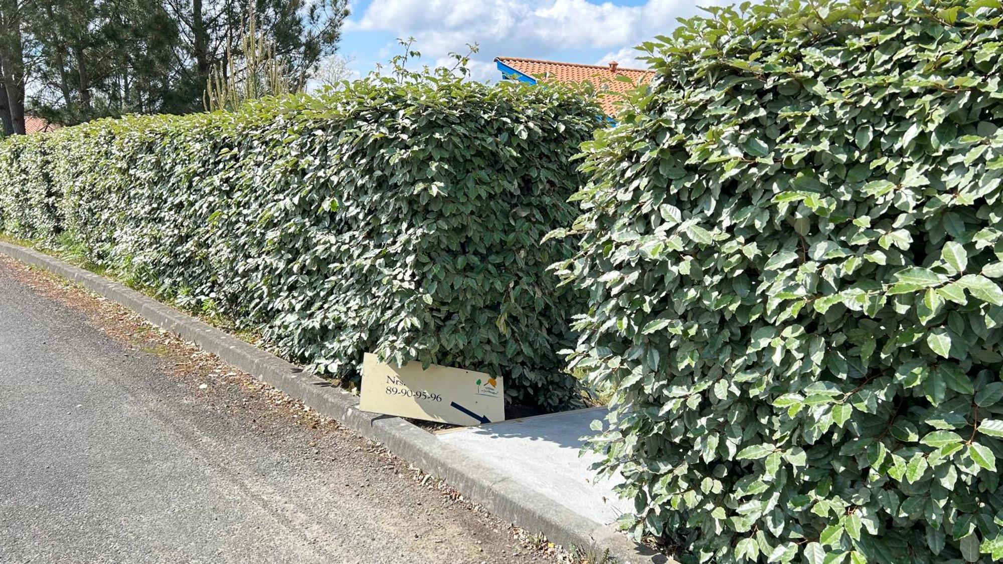 Jolie Maison De Vacances Avec Terrasse Et Jardin Saint-Julien-en-Born Kültér fotó