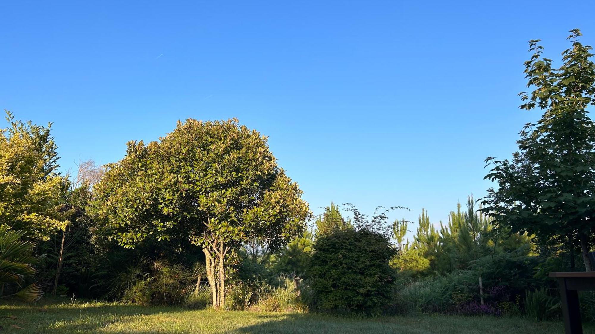 Jolie Maison De Vacances Avec Terrasse Et Jardin Saint-Julien-en-Born Kültér fotó